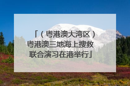 （粤港澳大湾区）粤港澳三地海上搜救联合演习在港举行