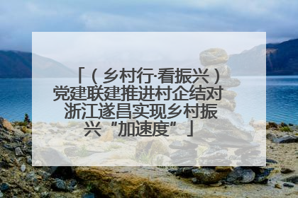 （乡村行·看振兴）党建联建推进村企结对 浙江遂昌实现乡村振兴“加速度”