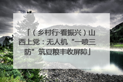 （乡村行·看振兴）山西上党：无人机“一喷三防”筑夏粮丰收屏障