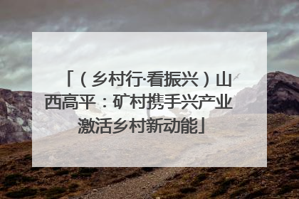 （乡村行·看振兴）山西高平：矿村携手兴产业 激活乡村新动能