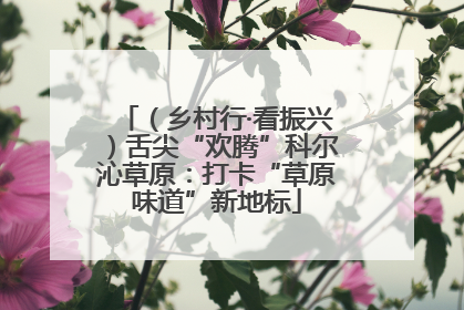 （乡村行·看振兴）舌尖“欢腾”科尔沁草原：打卡“草原味道”新地标