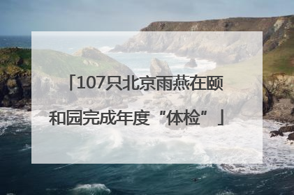 107只北京雨燕在颐和园完成年度“体检”