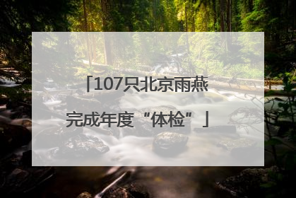 107只北京雨燕完成年度“体检”