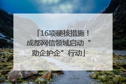 16项硬核措施！成都网信领域启动“助企护企”行动