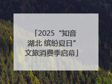 2025“知音湖北 缤纷夏日”文旅消费季启幕
