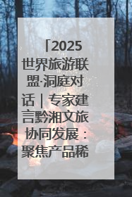 2025世界旅游联盟·洞庭对话｜专家建言黔湘文旅协同发展：聚焦产品稀缺性 深化区域经验共享