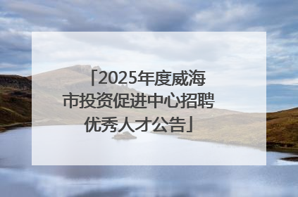 2025年度威海市投资促进中心招聘优秀人才公告