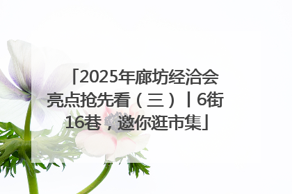 2025年廊坊经洽会亮点抢先看（三）丨6街16巷，邀你逛市集