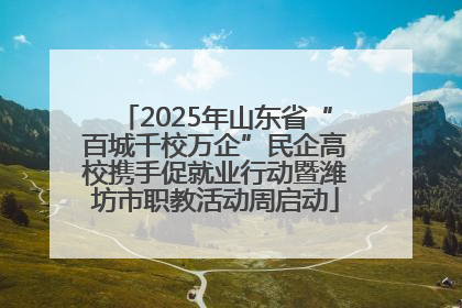 2025年山东省“百城千校万企”民企高校携手促就业行动暨潍坊市职教活动周启动