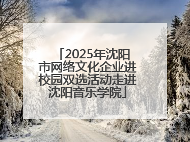 2025年沈阳市网络文化企业进校园双选活动走进沈阳音乐学院