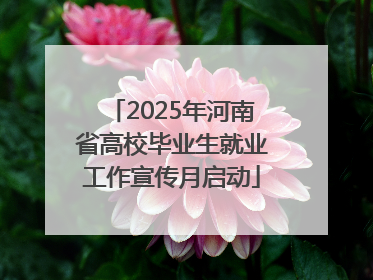 2025年河南省高校毕业生就业工作宣传月启动