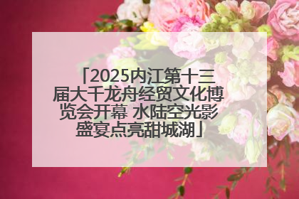 2025内江第十三届大千龙舟经贸文化博览会开幕 水陆空光影盛宴点亮甜城湖