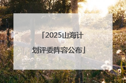 2025山海计划评委阵容公布