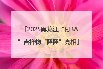 2025黑龙江“村BA”吉祥物“隆隆”亮相