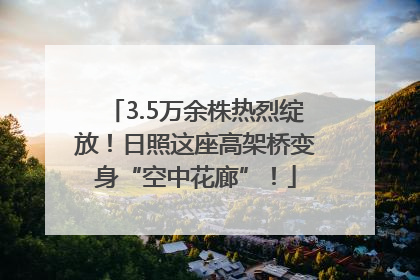 3.5万余株热烈绽放！日照这座高架桥变身“空中花廊”！