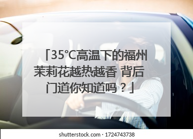 35℃高温下的福州茉莉花越热越香 背后门道你知道吗？