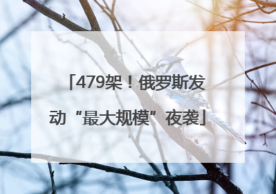 479架！俄罗斯发动“最大规模”夜袭