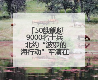 50艘舰艇 9000名士兵 北约“波罗的海行动”军演在德国启动