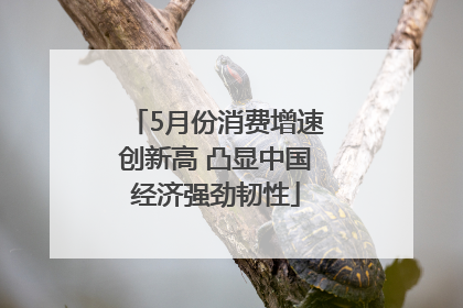 5月份消费增速创新高 凸显中国经济强劲韧性