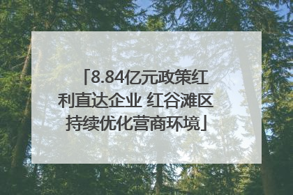 8.84亿元政策红利直达企业 红谷滩区持续优化营商环境