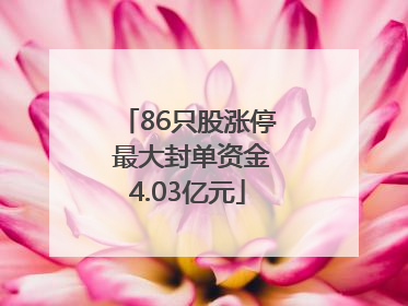 86只股涨停 最大封单资金4.03亿元