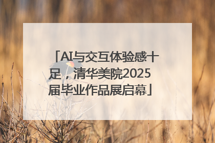 AI与交互体验感十足，清华美院2025届毕业作品展启幕