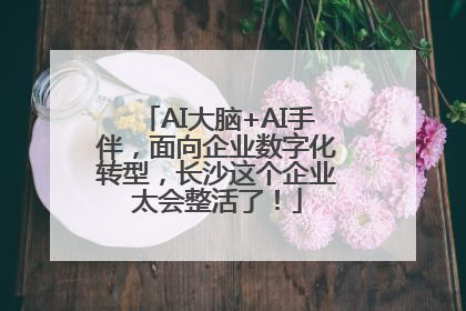 AI大脑+AI手伴，面向企业数字化转型，长沙这个企业太会整活了！