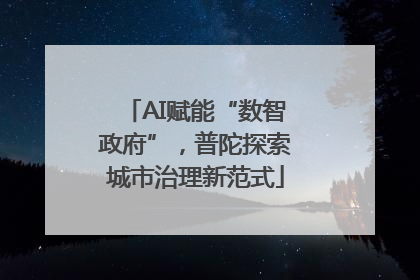 AI赋能“数智政府”，普陀探索城市治理新范式