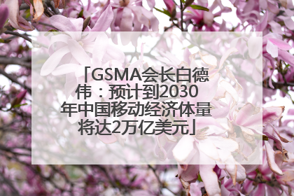 GSMA会长白德伟：预计到2030年中国移动经济体量将达2万亿美元